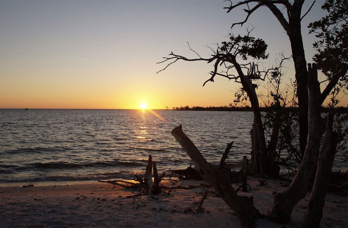Amazing Florida sunset cruise