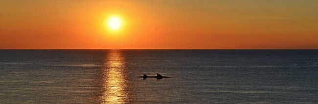 10,000 Islands Sunset Cruise