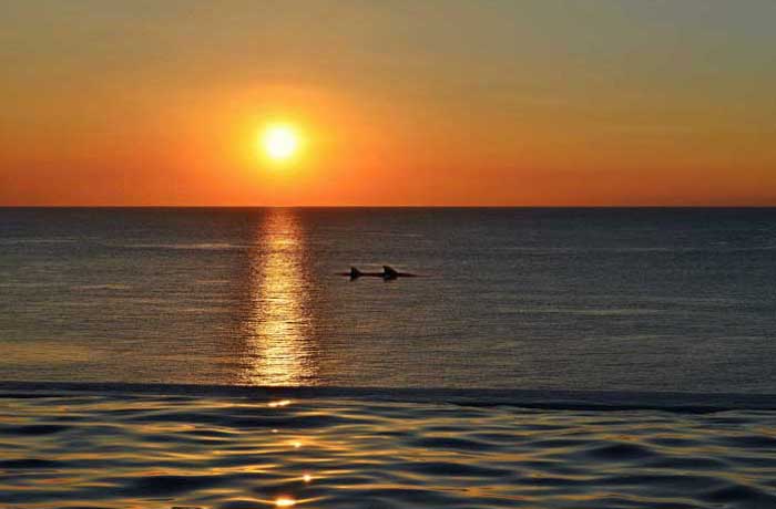 Sunset isnald Cruise near Marco Island Florida