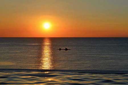 Sunset Cruise with Dolphins